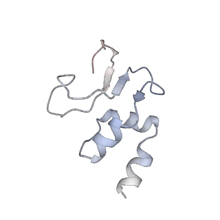 13276_7pal_O_v2-0
70S ribosome with A- and P-site tRNAs in Mycoplasma pneumoniae cells