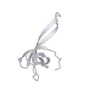 13276_7pal_P_v2-0
70S ribosome with A- and P-site tRNAs in Mycoplasma pneumoniae cells