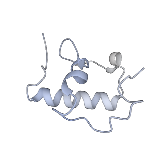 13276_7pal_Q_v1-2
70S ribosome with A- and P-site tRNAs in Mycoplasma pneumoniae cells