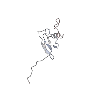 13276_7pal_R_v1-2
70S ribosome with A- and P-site tRNAs in Mycoplasma pneumoniae cells