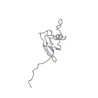 13276_7pal_R_v2-0
70S ribosome with A- and P-site tRNAs in Mycoplasma pneumoniae cells