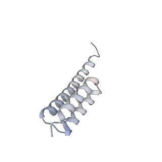 13276_7pal_S_v1-2
70S ribosome with A- and P-site tRNAs in Mycoplasma pneumoniae cells