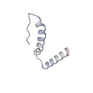 13276_7pal_T_v1-2
70S ribosome with A- and P-site tRNAs in Mycoplasma pneumoniae cells