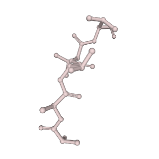 13276_7pal_Z_v1-2
70S ribosome with A- and P-site tRNAs in Mycoplasma pneumoniae cells