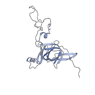 13276_7pal_b_v1-2
70S ribosome with A- and P-site tRNAs in Mycoplasma pneumoniae cells
