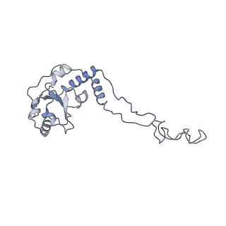 13276_7pal_c_v1-2
70S ribosome with A- and P-site tRNAs in Mycoplasma pneumoniae cells