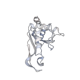 13276_7pal_d_v1-2
70S ribosome with A- and P-site tRNAs in Mycoplasma pneumoniae cells