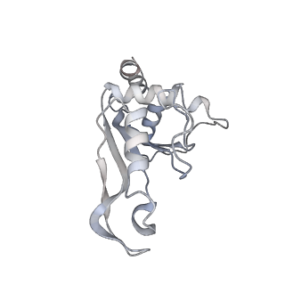 13276_7pal_d_v2-0
70S ribosome with A- and P-site tRNAs in Mycoplasma pneumoniae cells