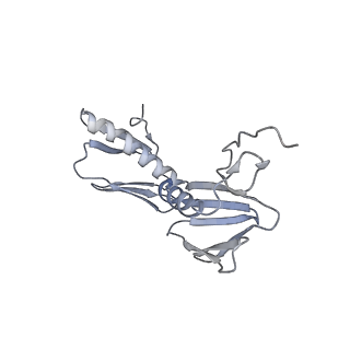 13276_7pal_e_v1-2
70S ribosome with A- and P-site tRNAs in Mycoplasma pneumoniae cells