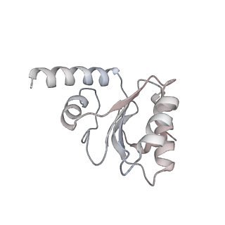 13276_7pal_g_v1-2
70S ribosome with A- and P-site tRNAs in Mycoplasma pneumoniae cells