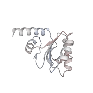 13276_7pal_g_v2-0
70S ribosome with A- and P-site tRNAs in Mycoplasma pneumoniae cells