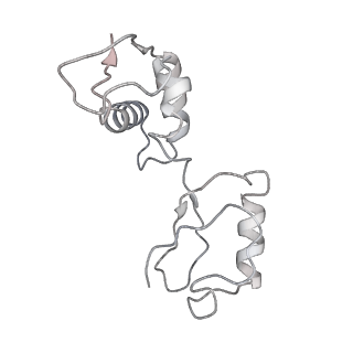 13276_7pal_h_v1-2
70S ribosome with A- and P-site tRNAs in Mycoplasma pneumoniae cells