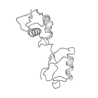 13276_7pal_h_v2-0
70S ribosome with A- and P-site tRNAs in Mycoplasma pneumoniae cells