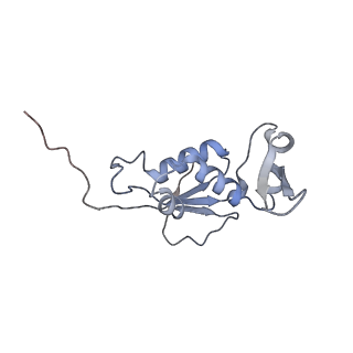 13276_7pal_i_v1-2
70S ribosome with A- and P-site tRNAs in Mycoplasma pneumoniae cells