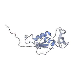 13276_7pal_i_v2-0
70S ribosome with A- and P-site tRNAs in Mycoplasma pneumoniae cells