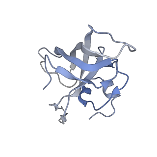 13276_7pal_j_v1-2
70S ribosome with A- and P-site tRNAs in Mycoplasma pneumoniae cells