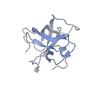 13276_7pal_j_v2-0
70S ribosome with A- and P-site tRNAs in Mycoplasma pneumoniae cells