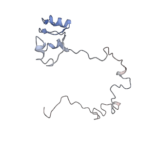 13276_7pal_k_v1-2
70S ribosome with A- and P-site tRNAs in Mycoplasma pneumoniae cells