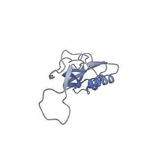 13276_7pal_l_v1-2
70S ribosome with A- and P-site tRNAs in Mycoplasma pneumoniae cells