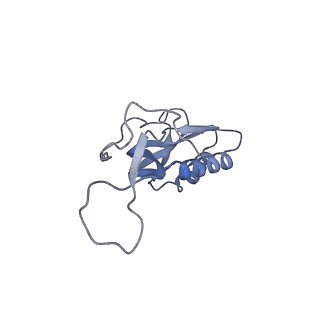 13276_7pal_l_v2-0
70S ribosome with A- and P-site tRNAs in Mycoplasma pneumoniae cells