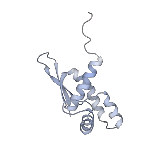 13276_7pal_m_v1-2
70S ribosome with A- and P-site tRNAs in Mycoplasma pneumoniae cells