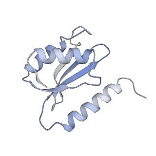 13276_7pal_n_v1-2
70S ribosome with A- and P-site tRNAs in Mycoplasma pneumoniae cells