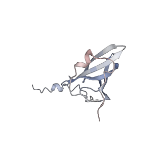 13276_7pal_o_v1-2
70S ribosome with A- and P-site tRNAs in Mycoplasma pneumoniae cells