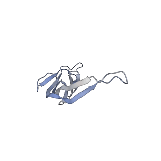 13276_7pal_q_v1-2
70S ribosome with A- and P-site tRNAs in Mycoplasma pneumoniae cells