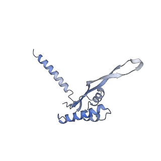 13276_7pal_r_v1-2
70S ribosome with A- and P-site tRNAs in Mycoplasma pneumoniae cells