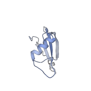 13276_7pal_s_v1-2
70S ribosome with A- and P-site tRNAs in Mycoplasma pneumoniae cells