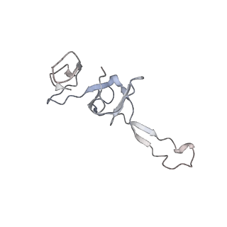 13276_7pal_t_v1-2
70S ribosome with A- and P-site tRNAs in Mycoplasma pneumoniae cells