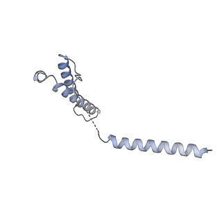 13276_7pal_w_v1-2
70S ribosome with A- and P-site tRNAs in Mycoplasma pneumoniae cells