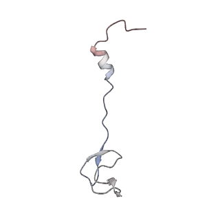 13276_7pal_y_v1-2
70S ribosome with A- and P-site tRNAs in Mycoplasma pneumoniae cells