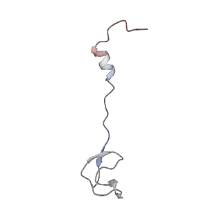 13276_7pal_y_v2-0
70S ribosome with A- and P-site tRNAs in Mycoplasma pneumoniae cells