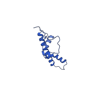 20281_6pa7_C_v1-2
The cryo-EM structure of the human DNMT3A2-DNMT3B3 complex bound to nucleosome.
