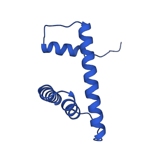 20281_6pa7_D_v1-2
The cryo-EM structure of the human DNMT3A2-DNMT3B3 complex bound to nucleosome.