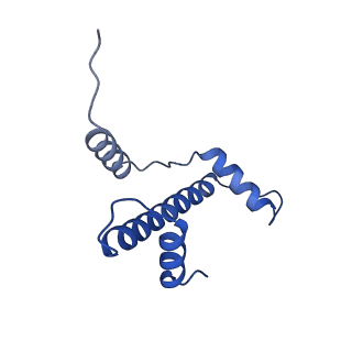 20281_6pa7_E_v1-2
The cryo-EM structure of the human DNMT3A2-DNMT3B3 complex bound to nucleosome.
