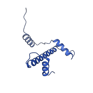 20281_6pa7_E_v1-3
The cryo-EM structure of the human DNMT3A2-DNMT3B3 complex bound to nucleosome.