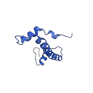 20281_6pa7_F_v1-3
The cryo-EM structure of the human DNMT3A2-DNMT3B3 complex bound to nucleosome.