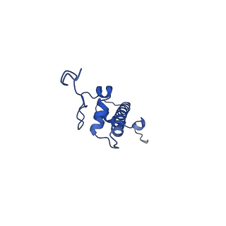20281_6pa7_G_v1-2
The cryo-EM structure of the human DNMT3A2-DNMT3B3 complex bound to nucleosome.