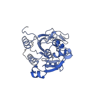 20281_6pa7_K_v1-2
The cryo-EM structure of the human DNMT3A2-DNMT3B3 complex bound to nucleosome.