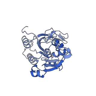 20281_6pa7_K_v1-3
The cryo-EM structure of the human DNMT3A2-DNMT3B3 complex bound to nucleosome.