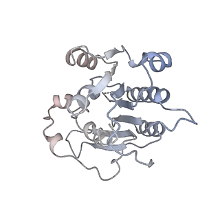 20281_6pa7_N_v1-2
The cryo-EM structure of the human DNMT3A2-DNMT3B3 complex bound to nucleosome.