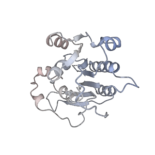 20281_6pa7_N_v1-3
The cryo-EM structure of the human DNMT3A2-DNMT3B3 complex bound to nucleosome.