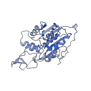 20281_6pa7_P_v1-2
The cryo-EM structure of the human DNMT3A2-DNMT3B3 complex bound to nucleosome.