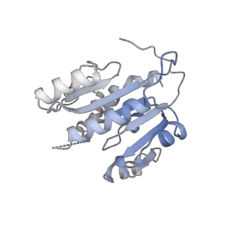 20281_6pa7_S_v1-2
The cryo-EM structure of the human DNMT3A2-DNMT3B3 complex bound to nucleosome.
