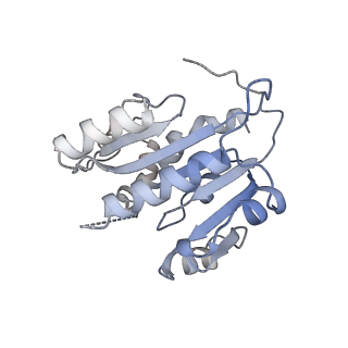 20281_6pa7_S_v1-3
The cryo-EM structure of the human DNMT3A2-DNMT3B3 complex bound to nucleosome.