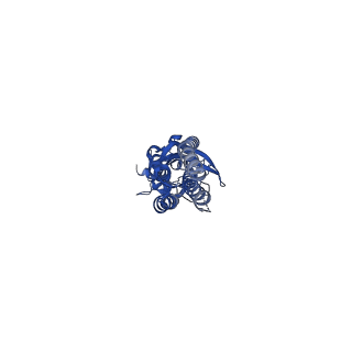 13290_7pbd_B_v1-0
a1b3 GABA-A receptor + GABA