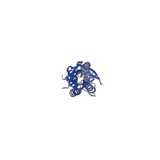 13290_7pbd_B_v2-2
a1b3 GABA-A receptor + GABA