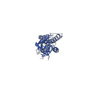13290_7pbd_C_v1-0
a1b3 GABA-A receptor + GABA